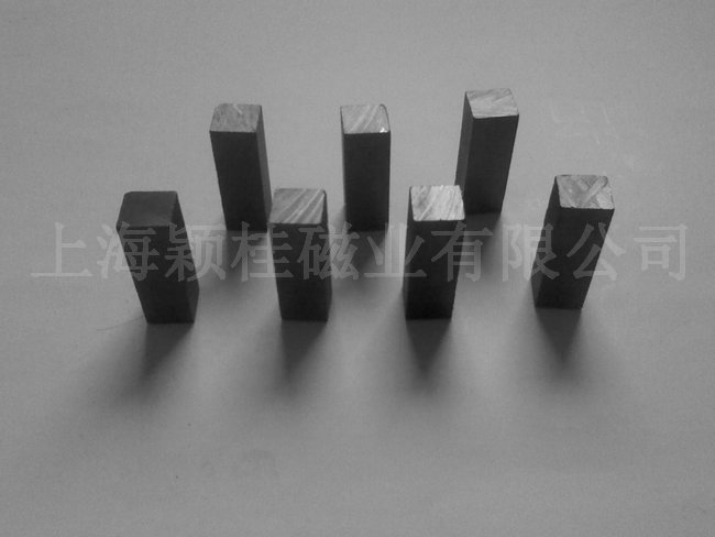 Ordinary ferrite magnets